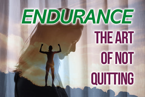 Endurance the Art of Not Quitting Series